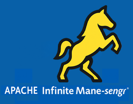 Apache AIM Logo